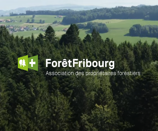 Le festival de Films de terroirs d'ici et d'ailleurs ouvert par la websérie produite par ForêtFribourg